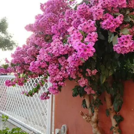 Casa vacanze Peroscia 14 *